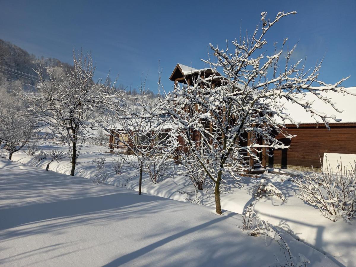 Садиба Райський Куточок Synevyr Exteriör bild