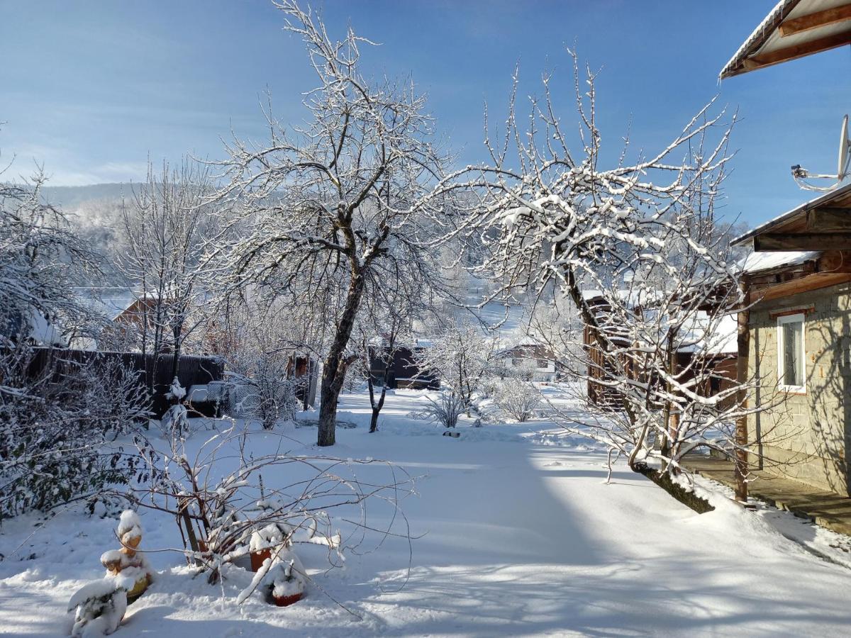 Садиба Райський Куточок Synevyr Exteriör bild